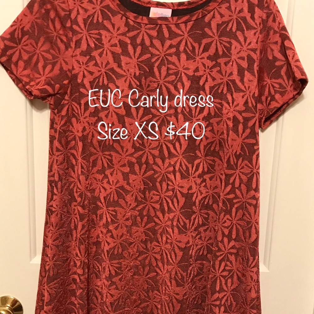 EUC Lularoe Carly Dress Sz XS embossed floral prnt